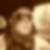 Profilbild von Kai Schuck