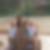 Profilbild von Kerstin Seidel