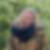 Profilbild von Susanne Buschmann
