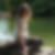 Profilbild von Ines Kekez