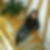 Profilbild von Cindy Patschull