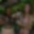 Profilbild von Nadine Werner