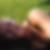 Profilbild von Melanie Wildt