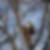 Profilbild von Thomas Donau