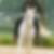 Profilbild von Ingo Walter Fischer