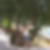 Profilbild von Heike Dushe