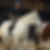 Profilbild von Bianka Wend-Handke