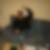 Profilbild von Andreas Mischke