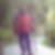 Profilbild von Dietmar Nautsch
