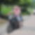 Profilbild von Wolfgang Frank
