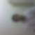 Profilbild von Gordon de Glimes
