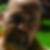 Profilbild von Felix Gross