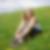 Profilbild von Desiree Klose