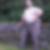 Profilbild von Frank Haag