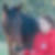 Profilbild von Silke Molnar