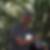 Profilbild von Ron Striebe