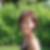 Profilbild von Silvia Schulze