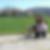 Profilbild von Bettina Will