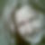 Profilbild von Monika Maier