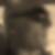 Profilbild von David Blau