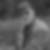 Profilbild von Werner Boehlefeld