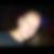 Profilbild von Reiter Willi