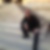 Profilbild von Telat Genez