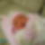 Profilbild von Hatice Mutluel