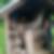 Profilbild von Sebastian Muff