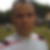 Profilbild von Stefan Reichert