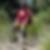 Profilbild von Lutz Fricke