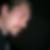 Profilbild von Hanno Hillmann
