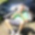 Profilbild von Marco Krebs