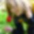 Profilbild von Jasmin Brehme