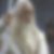 Profilbild von Lars Papendick
