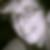 Profilbild von Yvonne Schiller
