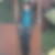 Profilbild von Nelli Riedel