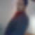 Profilbild von Mahir Dogan