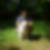 Profilbild von Matthias Beyer