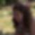 Profilbild von Silke Lange