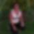 Profilbild von Andrea Budig
