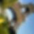 Profilbild von Tim Droepper