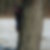 Profilbild von Konny Elsass
