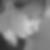 Profilbild von Bärbel Siegert