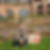Profilbild von Ute Schleupen