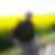 Profilbild von Thomas Brasch