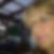 Profilbild von Gisela Klein