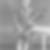 Profilbild von Ulrich Dr. Janetzki