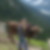Profilbild von Anke Reck