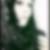 Profilbild von Maria Farkas